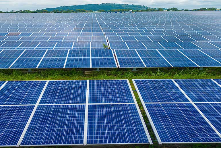 Sunkind India Limited strengthens the order book for FY 26–27