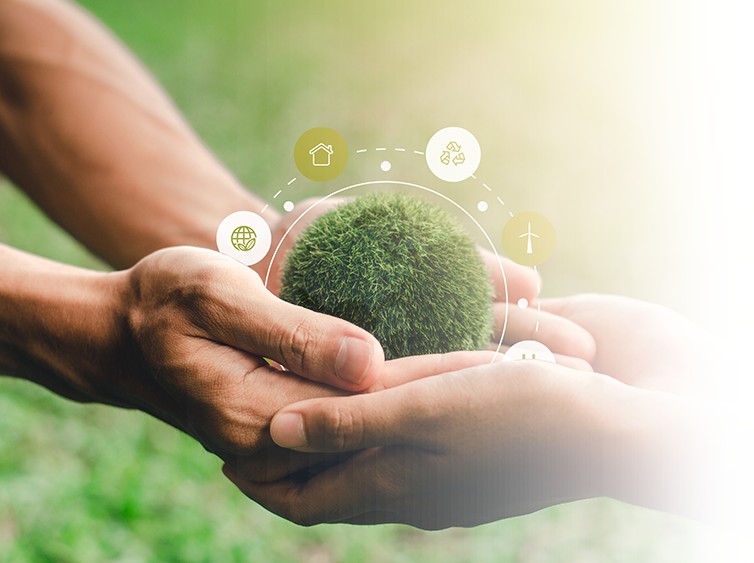 Sunkind Building Sustainable Development