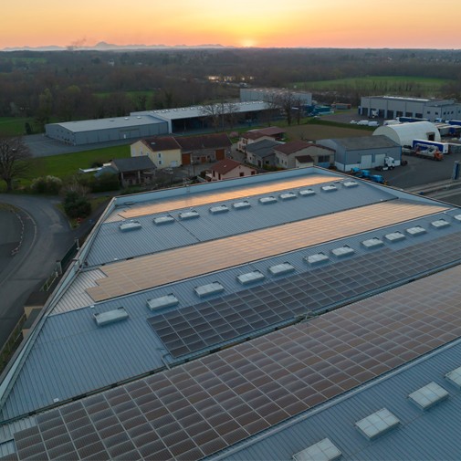 Sunkind Quality Procurement