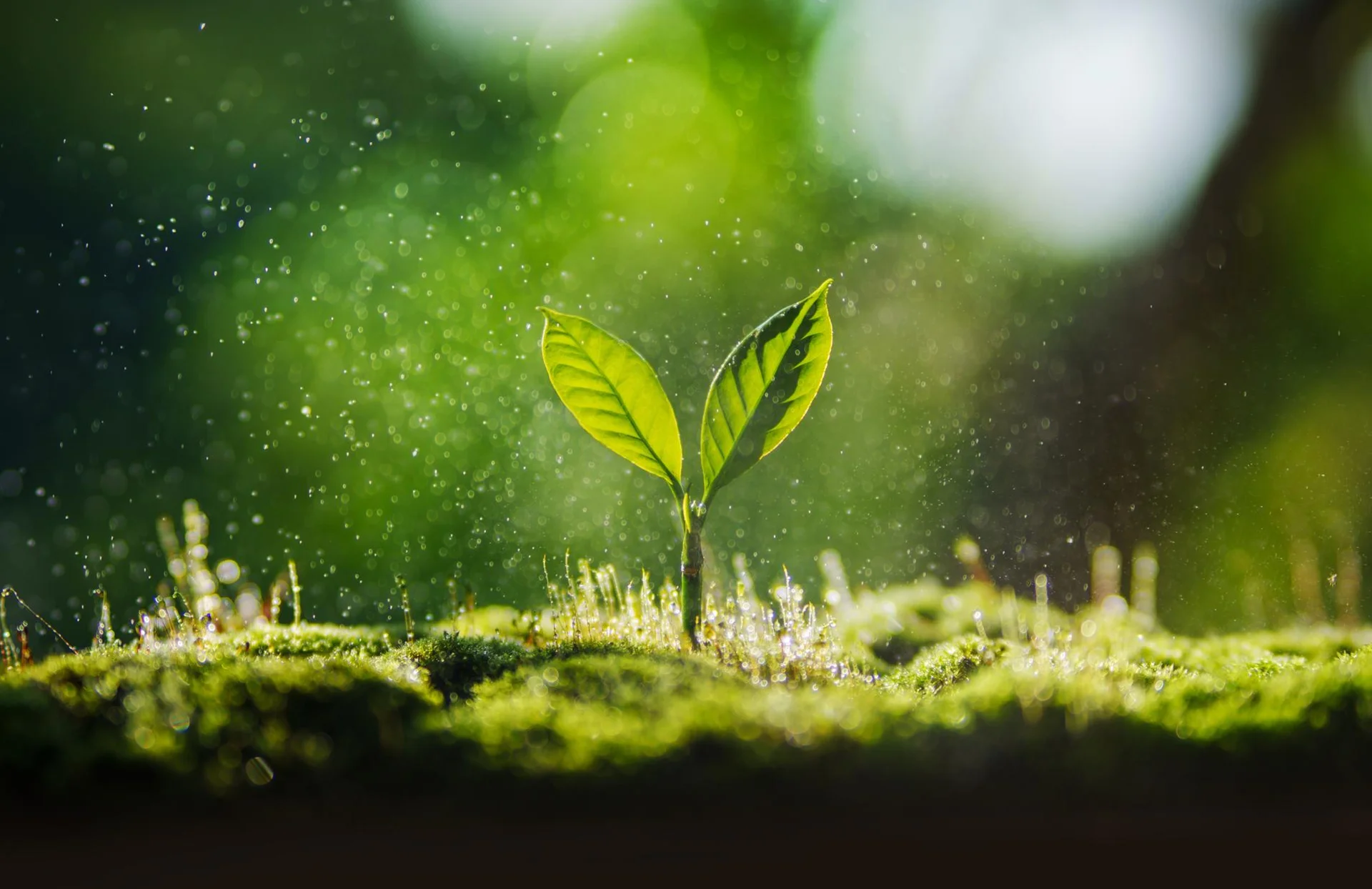 Sunkind Energy Enabling Human Progress Sustainability